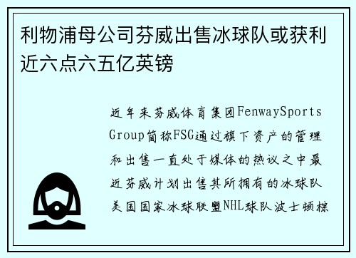 利物浦母公司芬威出售冰球队或获利近六点六五亿英镑